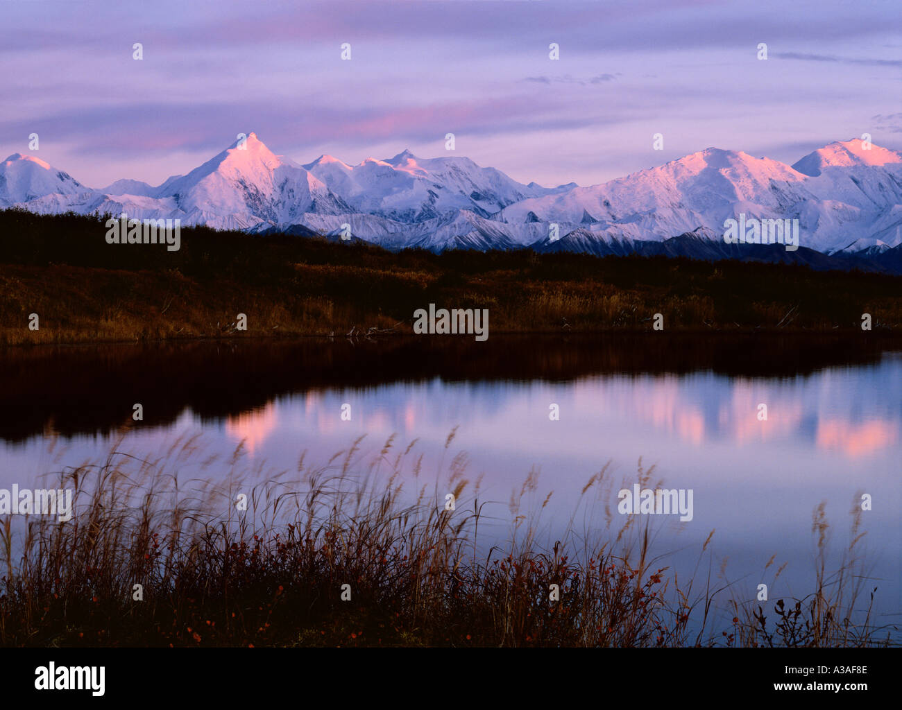 Denali National Park, Alaska, USA, Mt Brooks and the Alaska Range, reflection, Sunset, Pond, Wonder Lake area Stock Photo