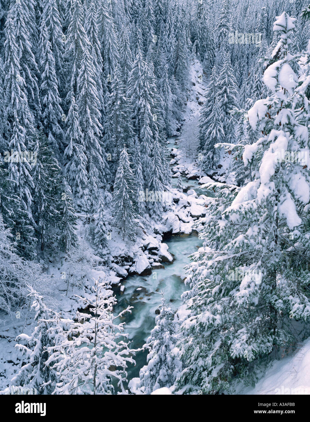 Winter, Mt. Baker National Forest, Nooksack River, Washington State