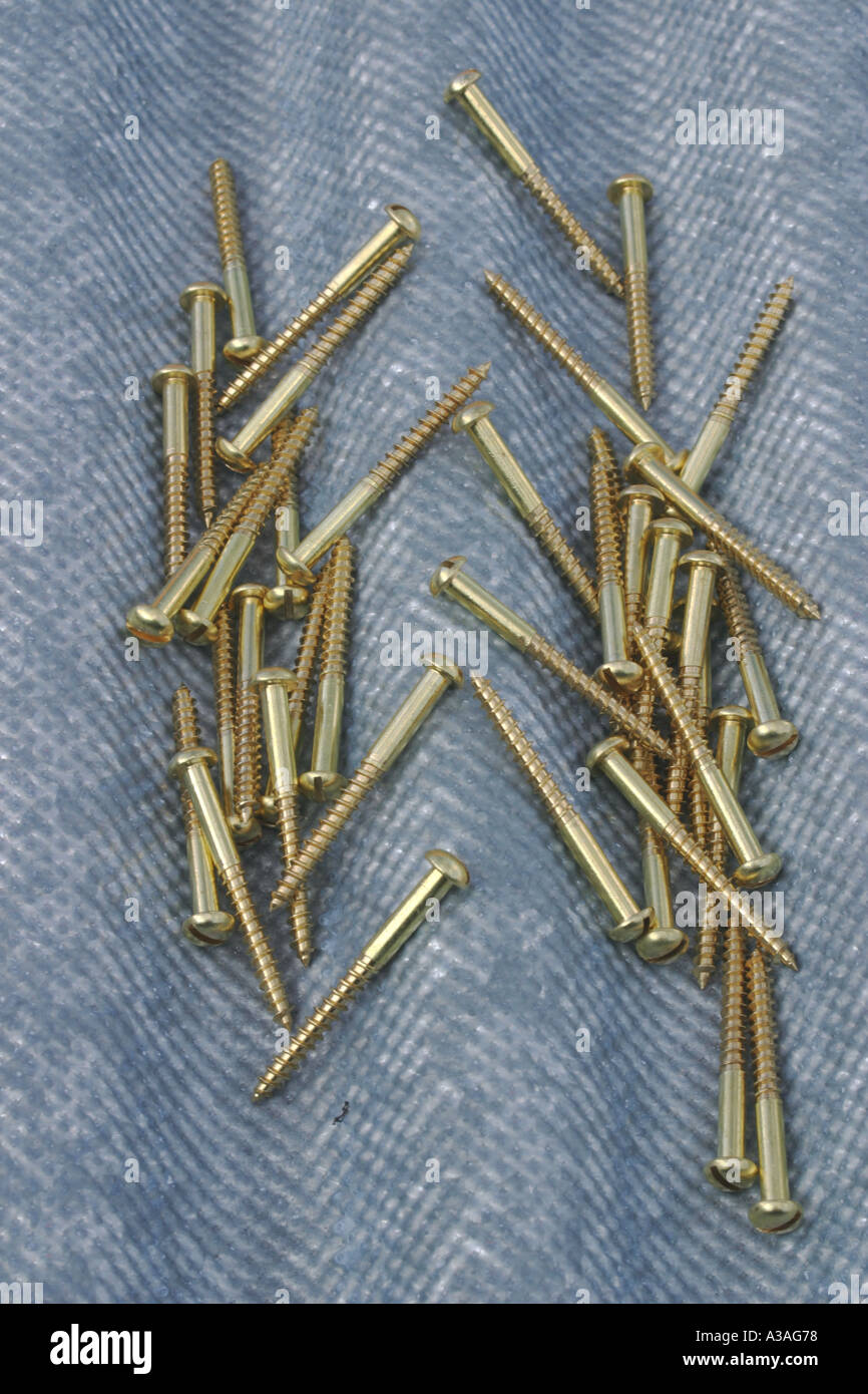 brass screws on corrugated steel roof Stock Photo Alamy