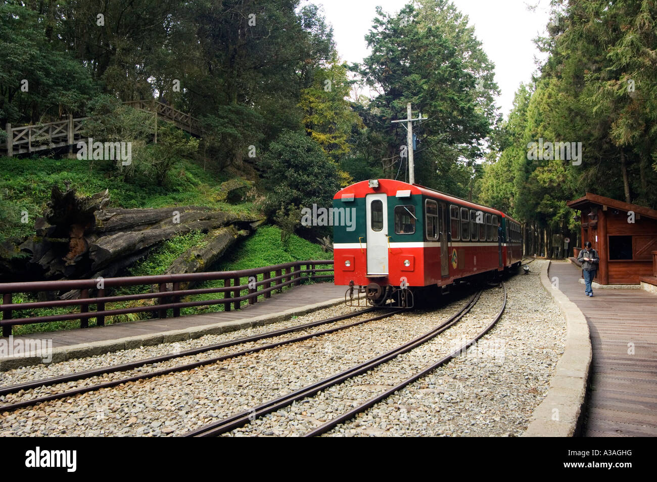 steam train engine cedar forest Alishan National Forest recreation area