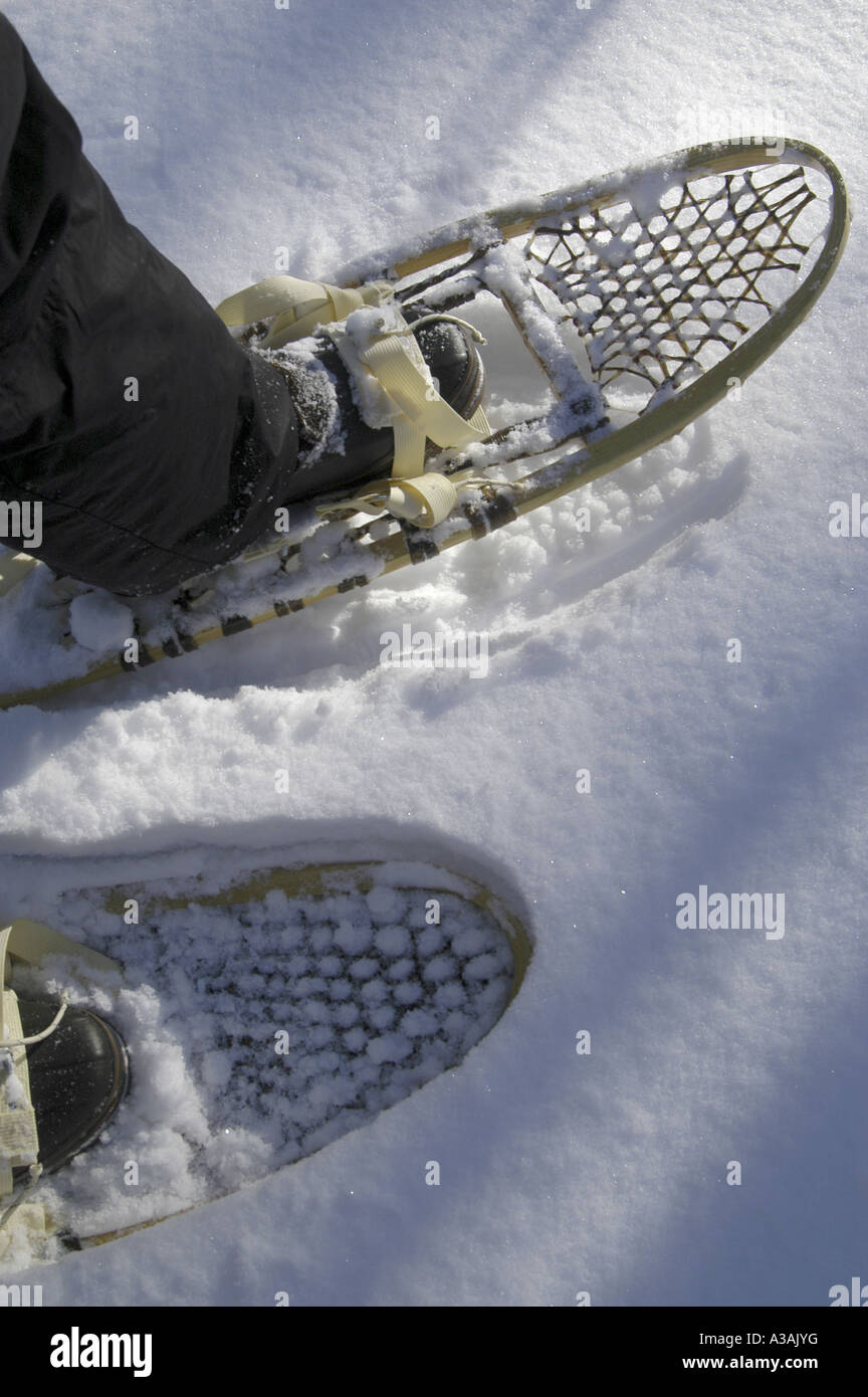 P10 052 Snowy Day Snow Shoes in Snow Stock Photo