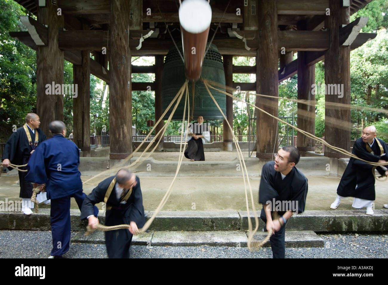 monks pulling ropes of big bell Chion in temple eastern hills ...