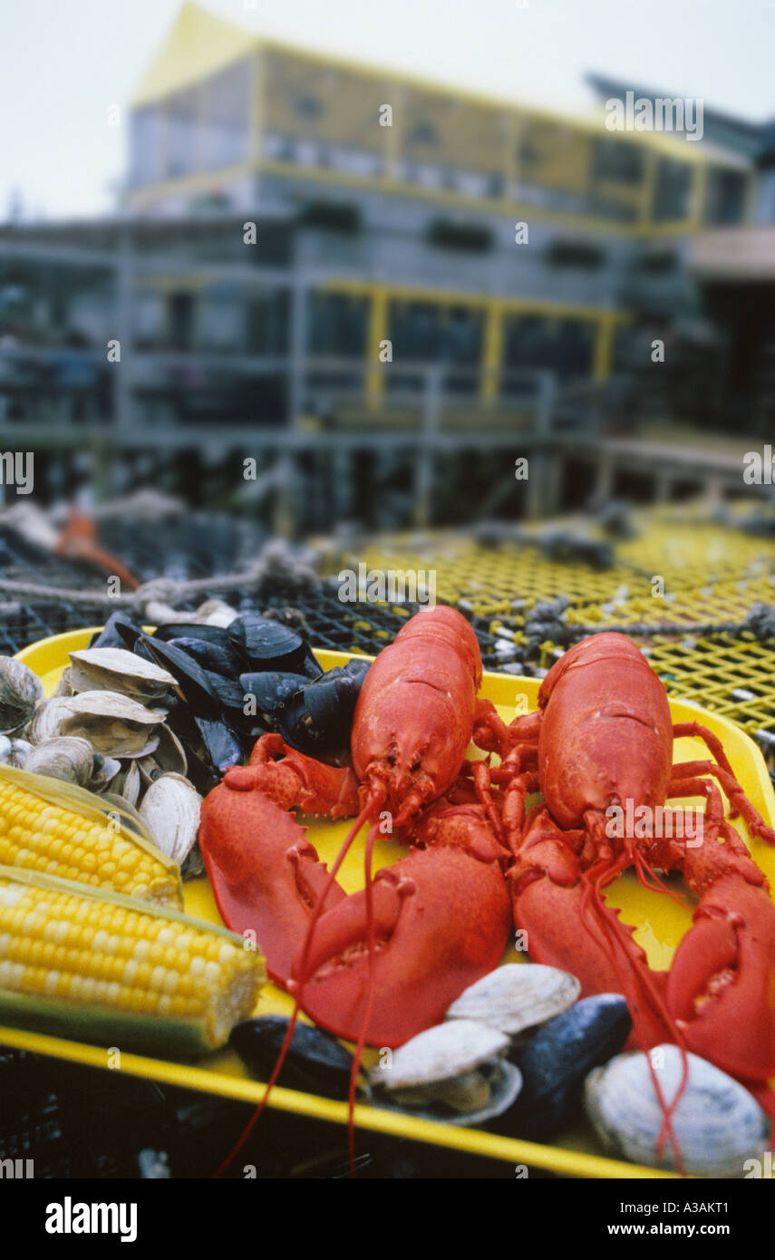 Lobster dinner on the coast of Maine Stock Photo Alamy