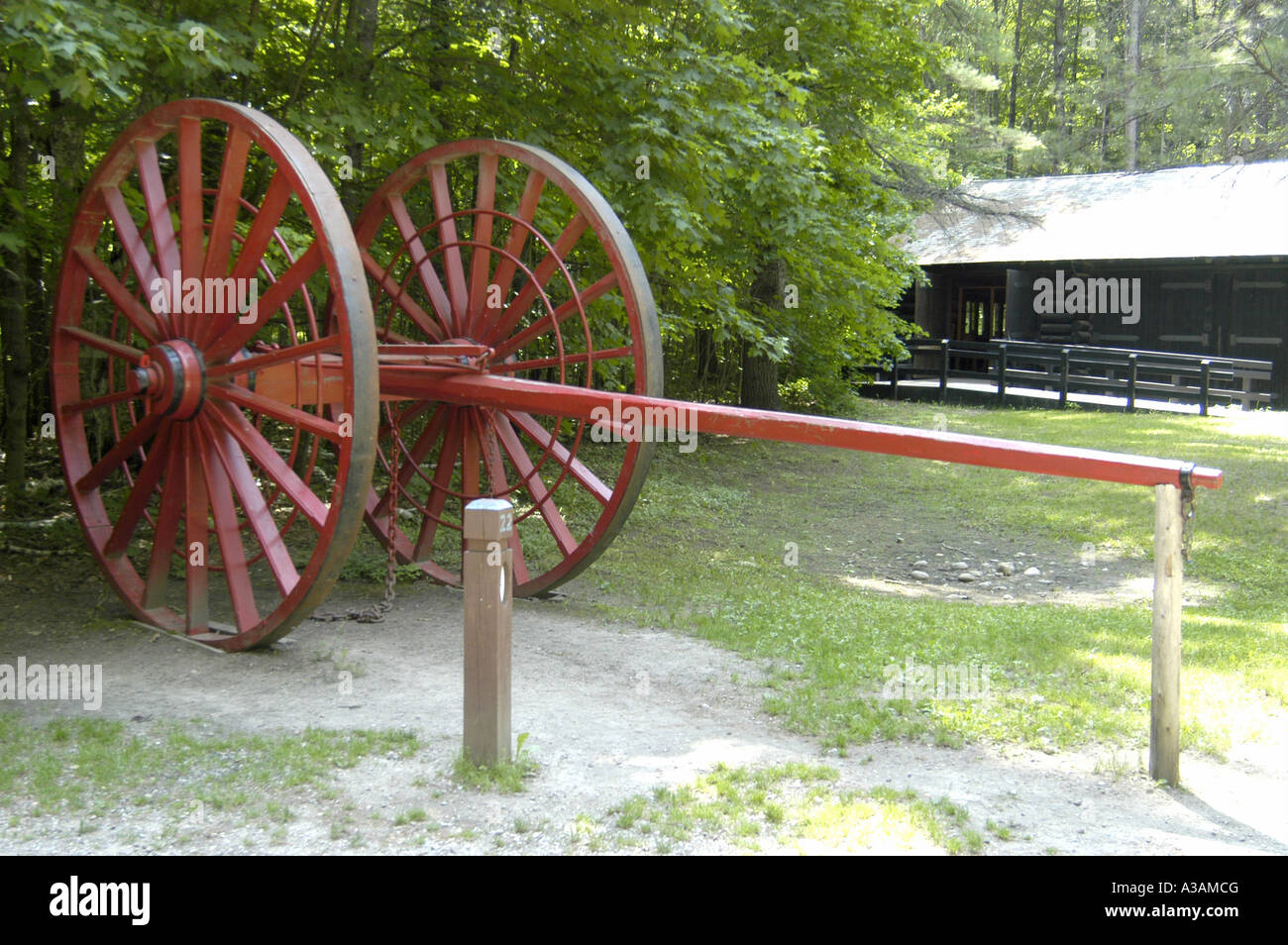 P20 105 Old Growth Forest, Antique Horse Drawn Log Roller 2, Hartwick