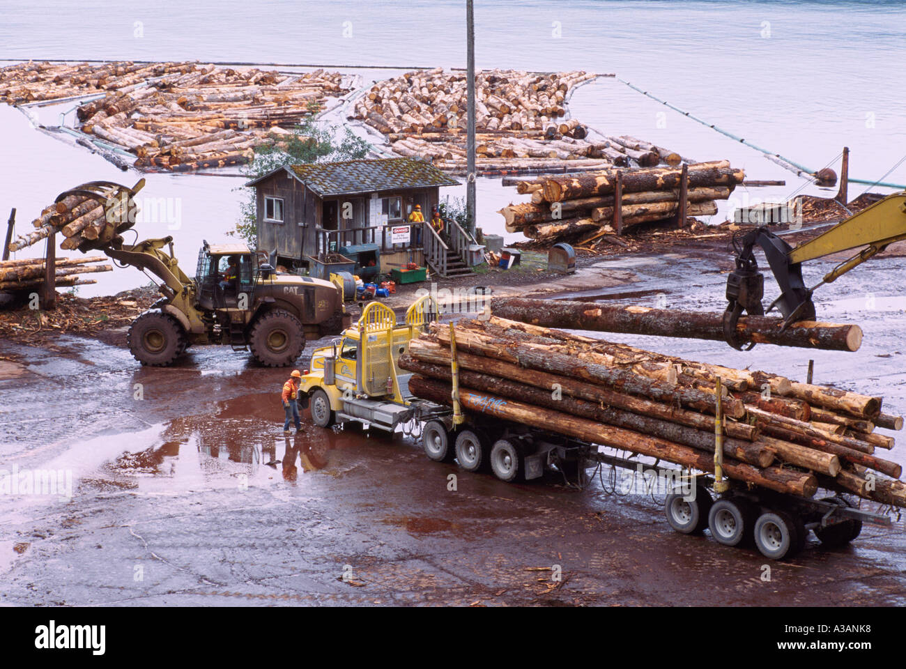 Unloading Logs from a Logging Truck at Beaver Cove Sort Yard near