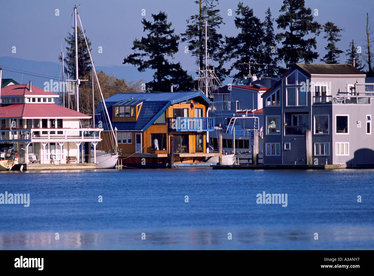 Floating Houses in a Float Home Community on the Fraser River near