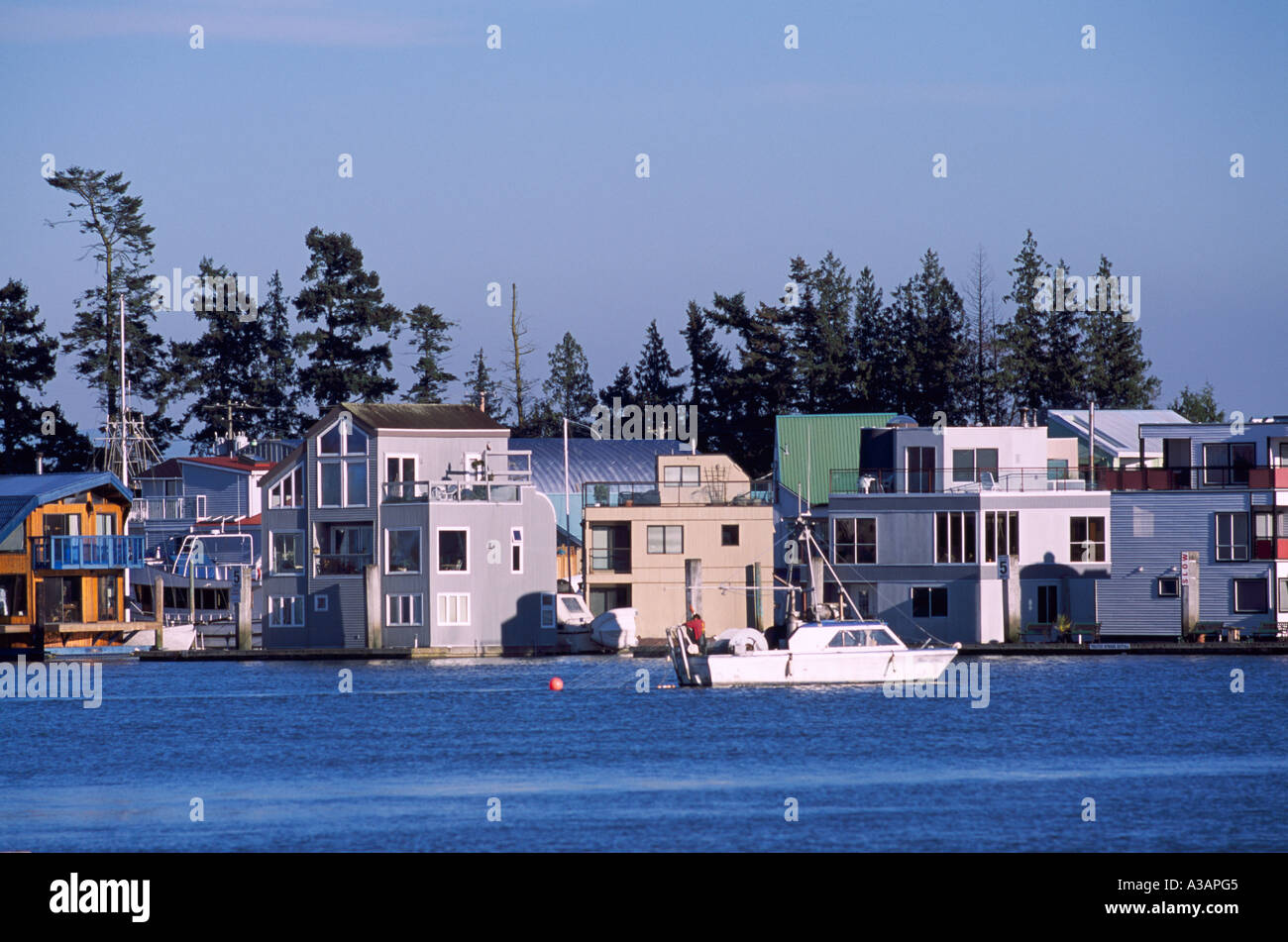 Floating Houses in a Float Home Community on the Fraser River near