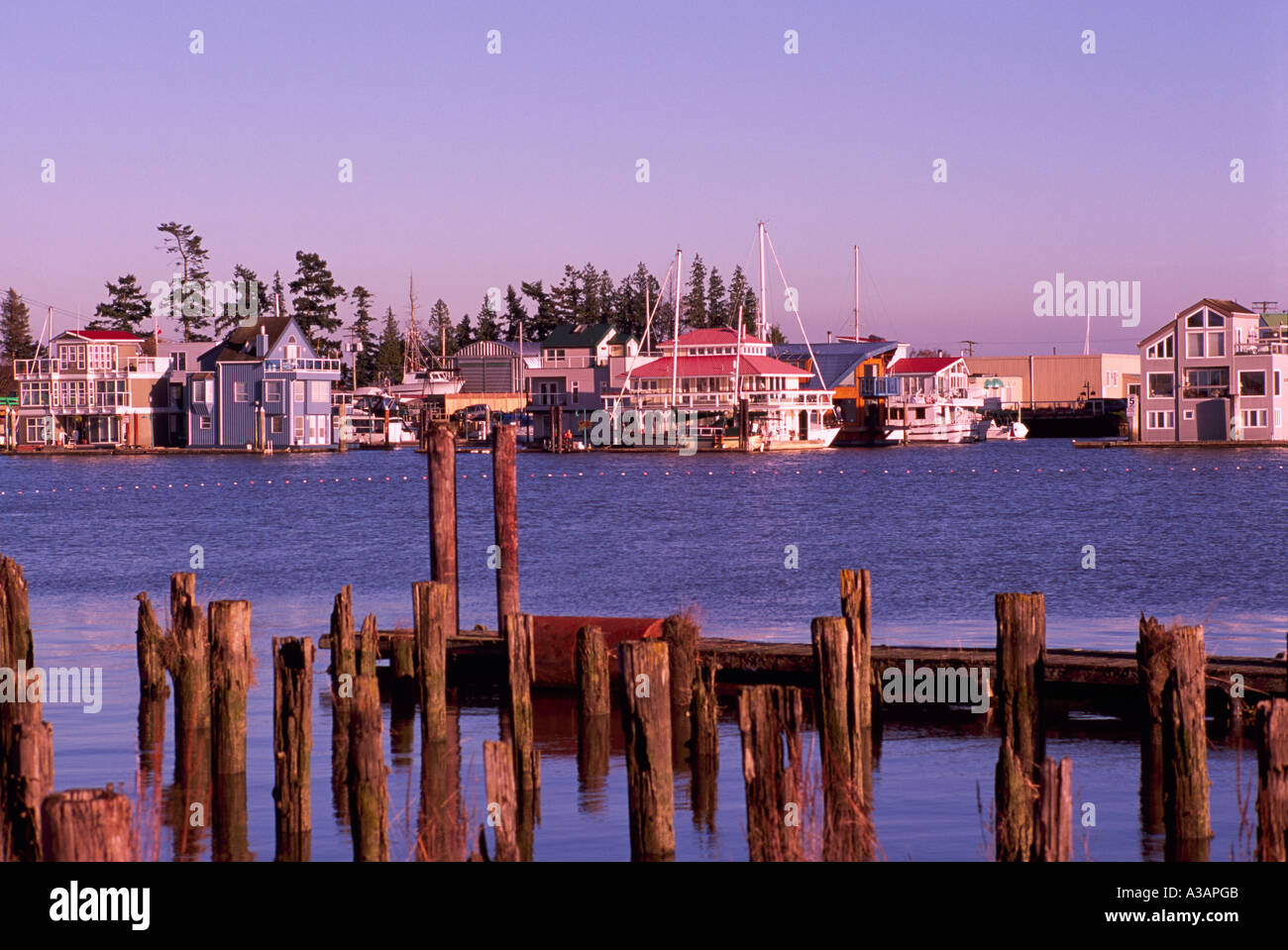 Floating Houses in a Float Home Community on the Fraser River near