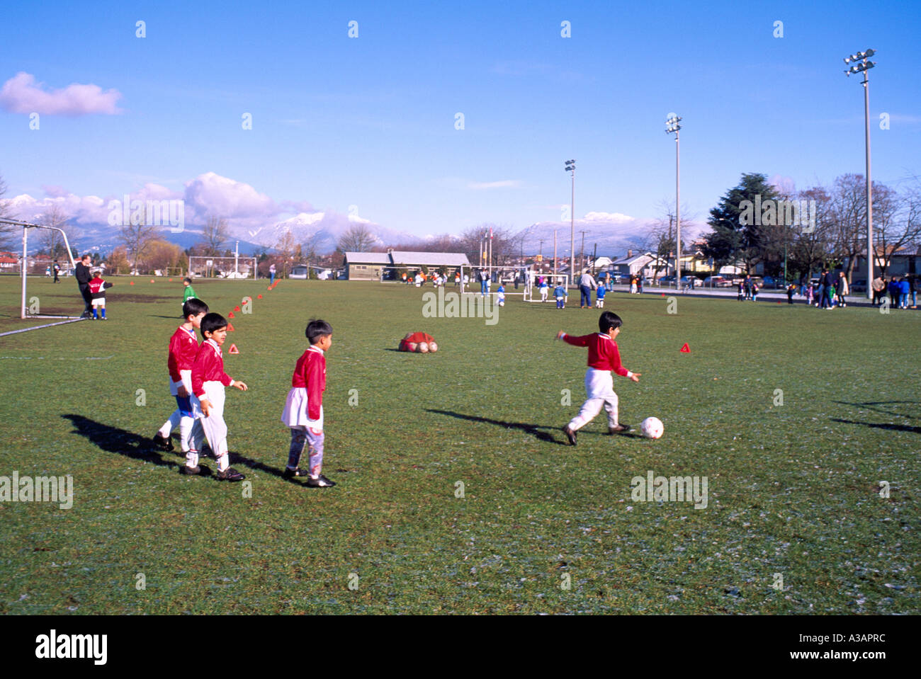 The Youngest Soccer Players in Action on a Sports Field at Killarney Park in the City of Vancouver in British Columbia Canada Stock Photo