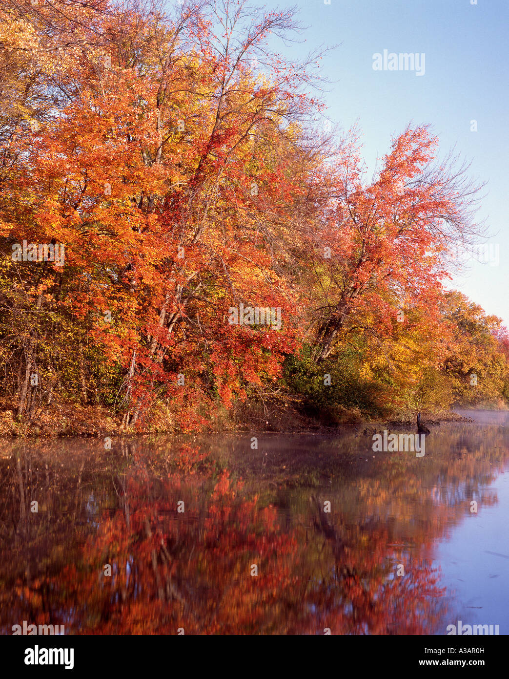 Autumn Pond with colorful fall foliage Concord MA New England USA Stock Photo