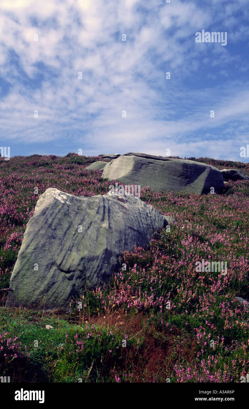 Simonside hills in northumberland hi-res stock photography and images ...