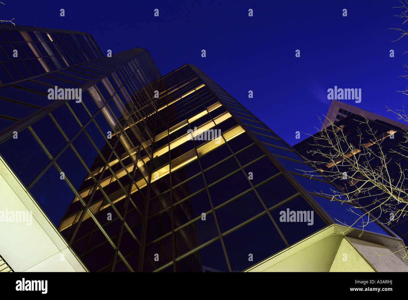 Downtown Calgary at night Stock Photo - Alamy