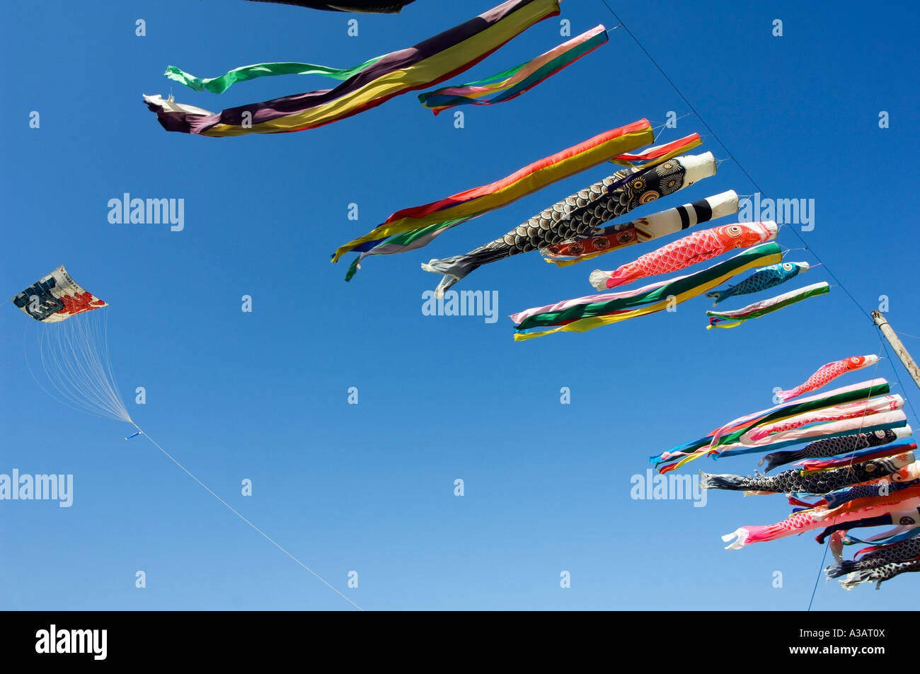 Koi kites hires stock photography and images Alamy