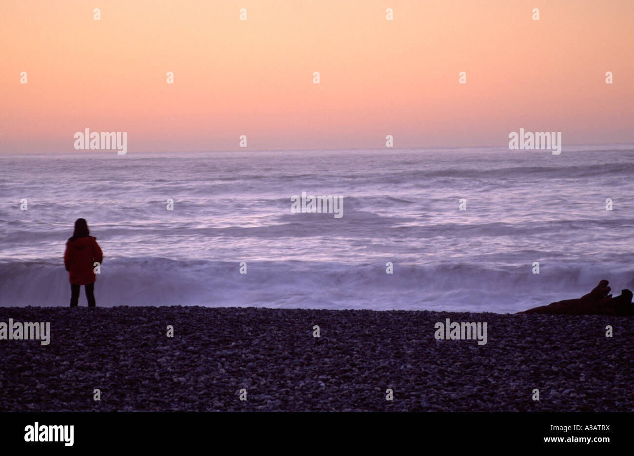 Person on Seashore West Coast South Island New Zealand Stock Photo