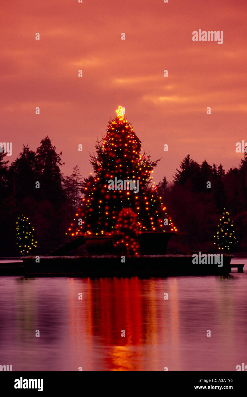 Christmas Tree Lights reflecting on the Ice in 'Lost Lagoon' at Dusk in Stanley Park Vancouver British Columbia Canada Stock Photo