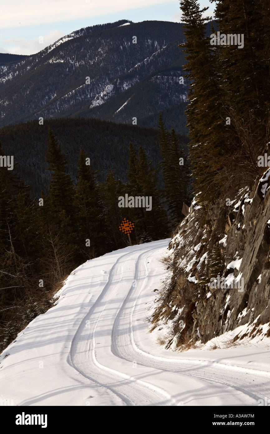 narrow Alberta logging road in winter Stock Photo Alamy