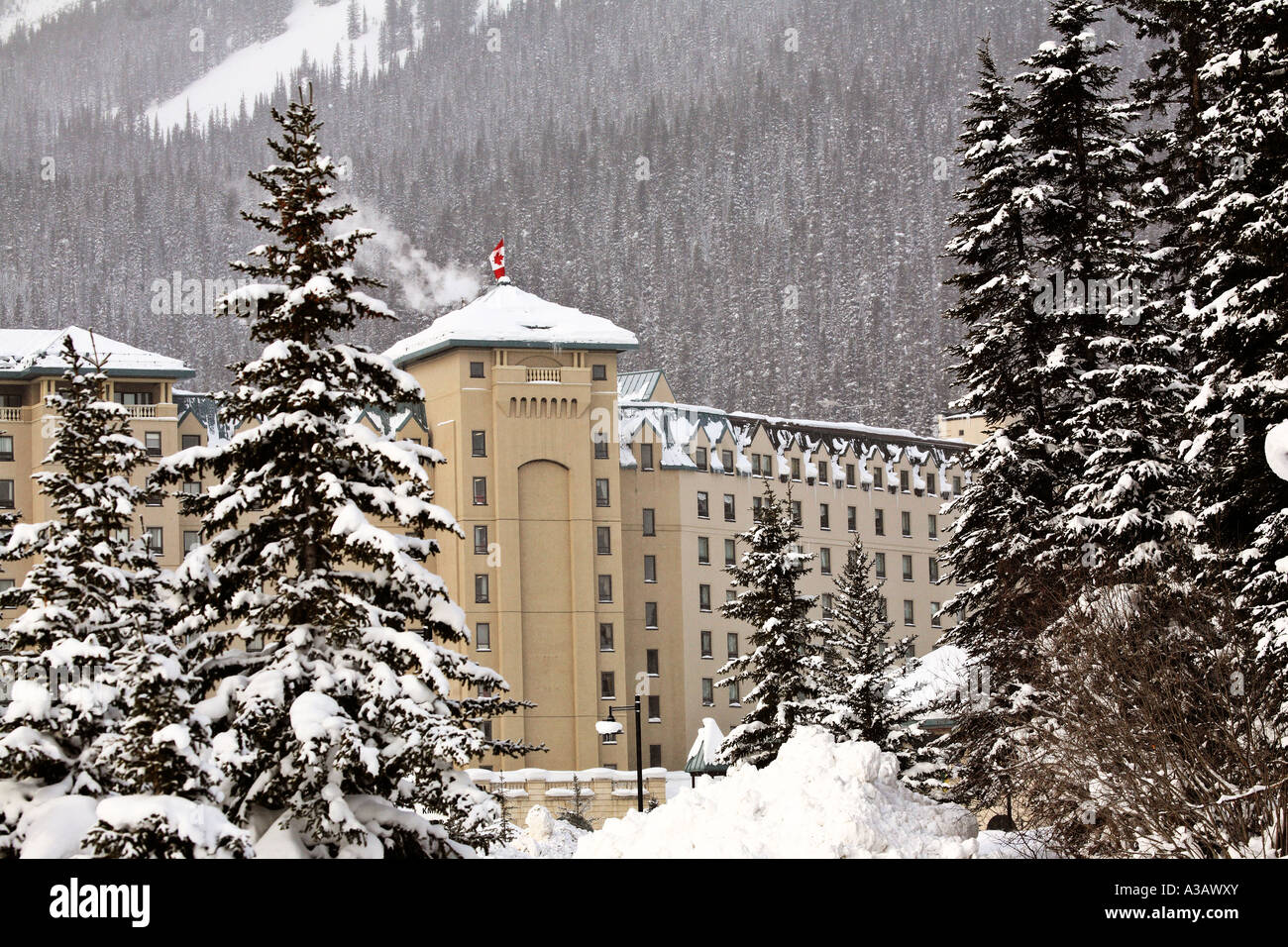 Chateaus Lake Louise in winter Stock Photo - Alamy