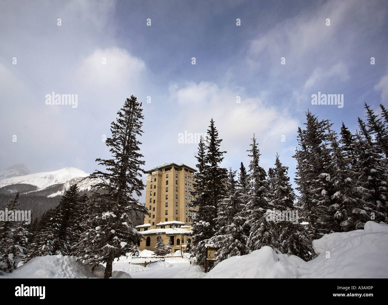 Chateaus Lake Louise in winter Stock Photo - Alamy