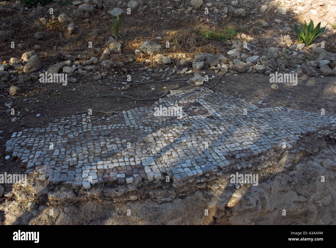 Cyprus. Roman mosaic, archaeological site off Leoforos apostolou pavlou, Paphos Pafos. Archaeology seems to be scattered all over the place. Stock Photo
