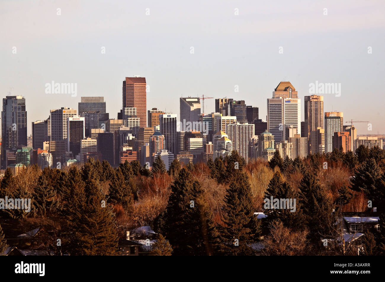 buildings in downtown Calgary Stock Photo - Alamy