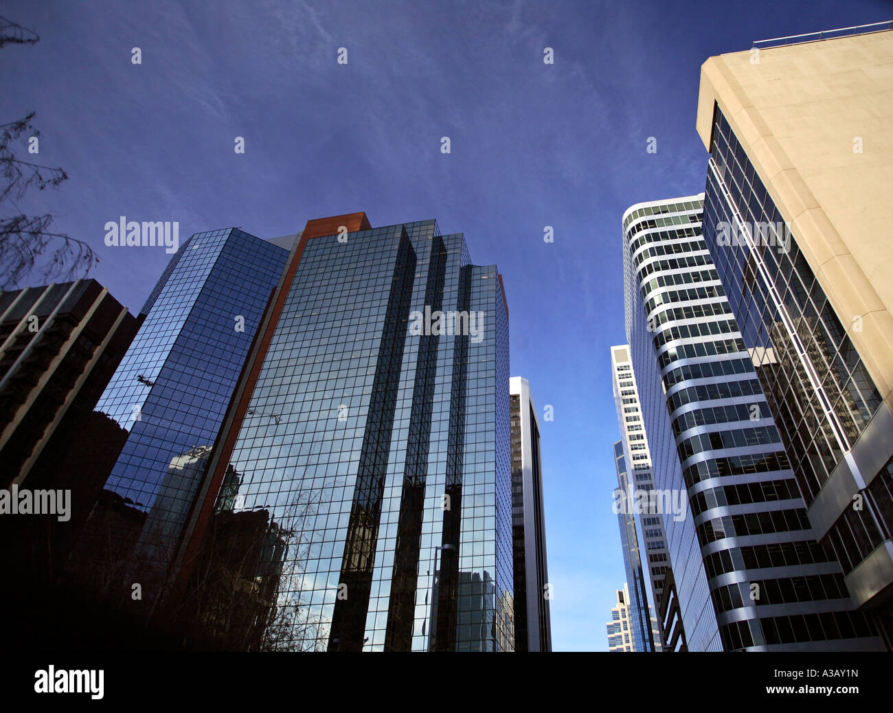 buildings in downtown Calgary Stock Photo - Alamy