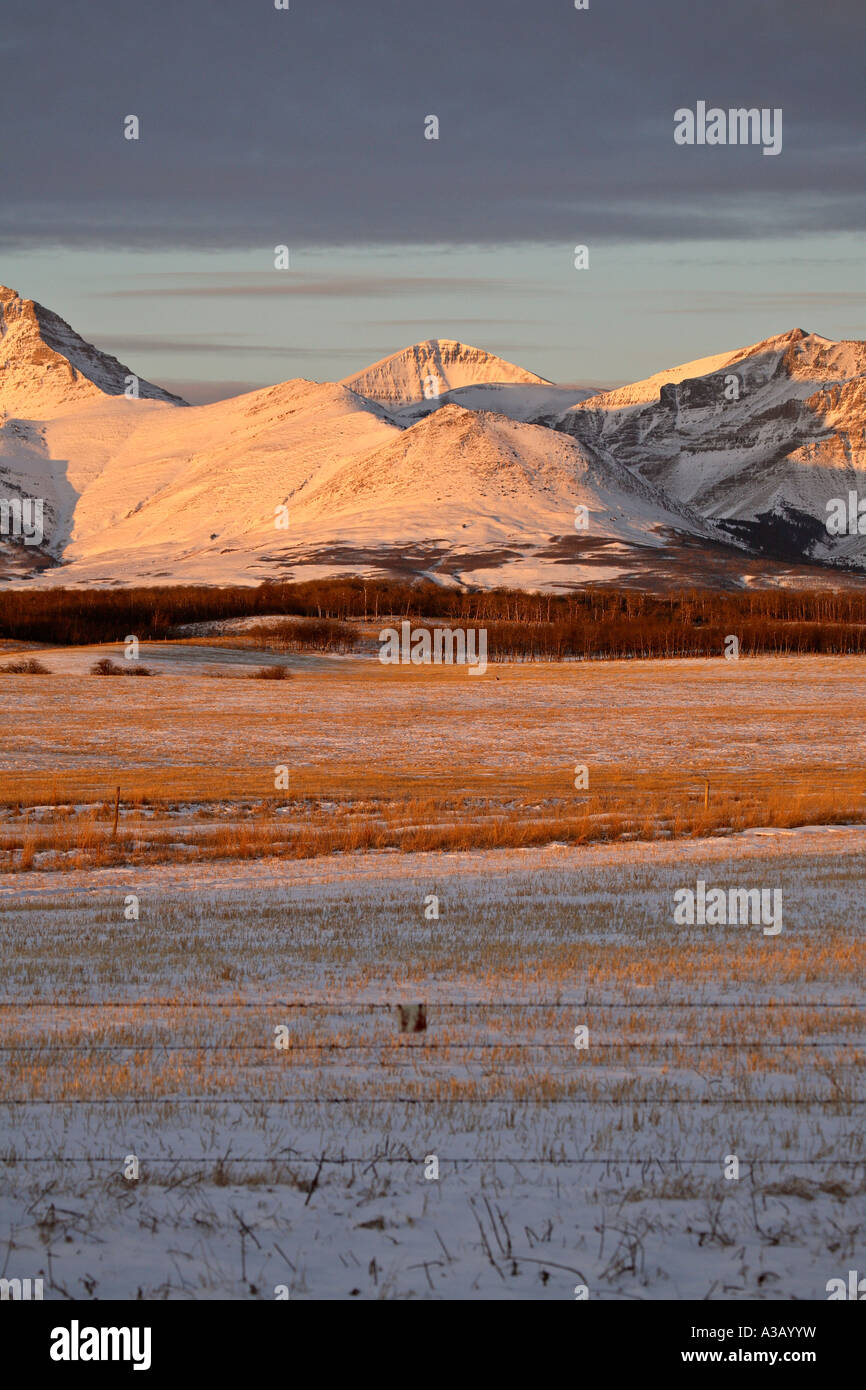 Fence snow bushes mountains hi-res stock photography and images - Alamy