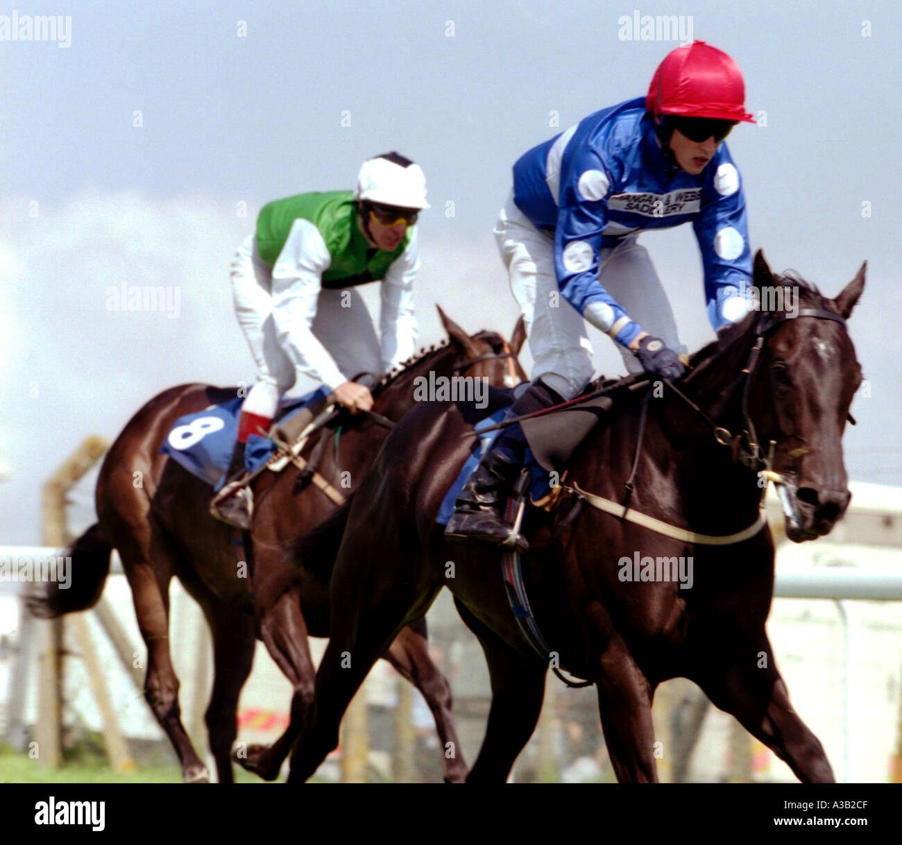 horses racing towards the winning post Stock Photo