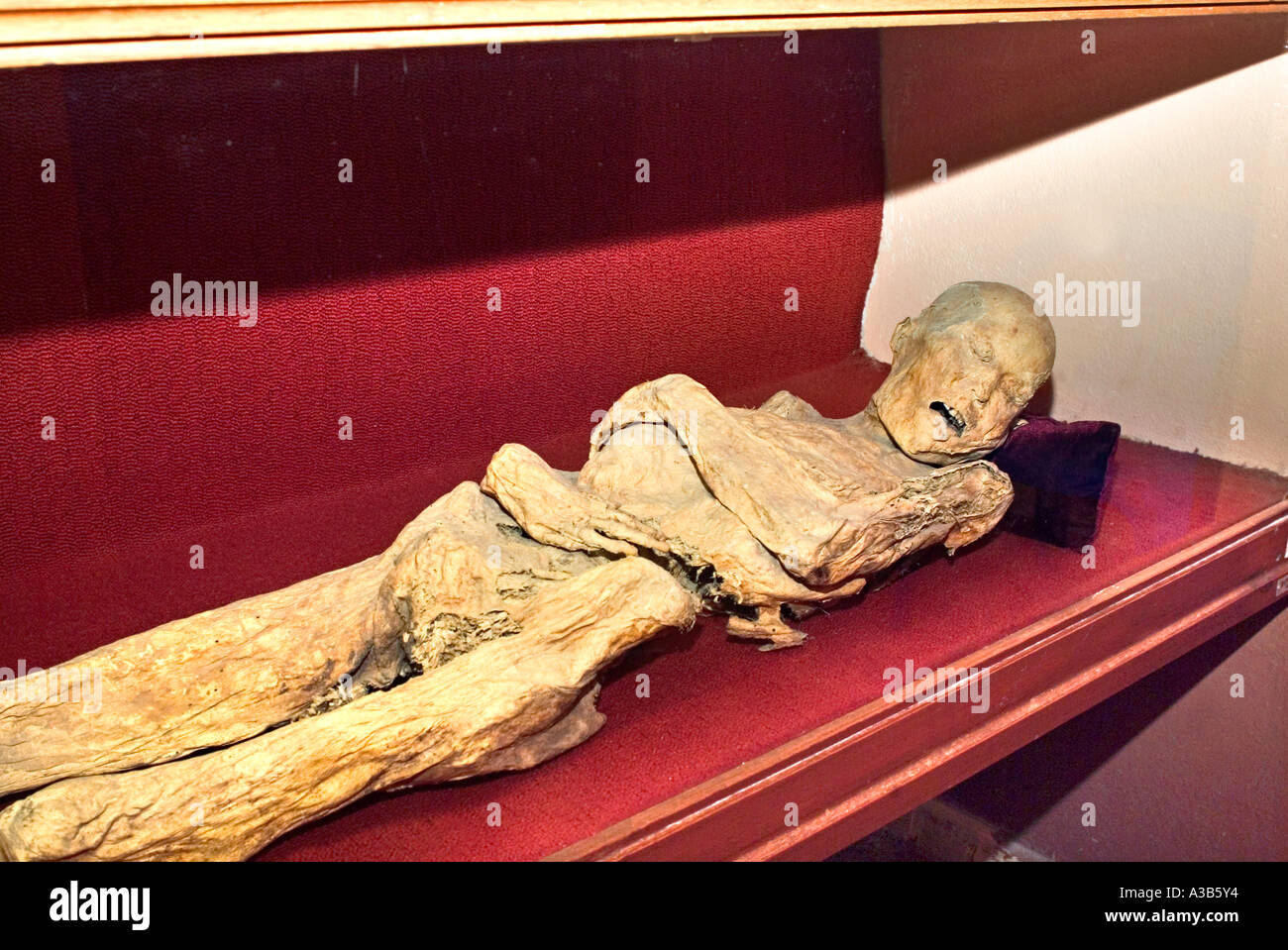 Mummy Museum known as El Museo de las Momias Guanajuato Mexico Stock Photo Alamy