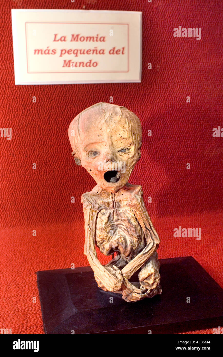 Mummy Museum known as El Museo de las Momias Guanajuato Mexico Stock Photo