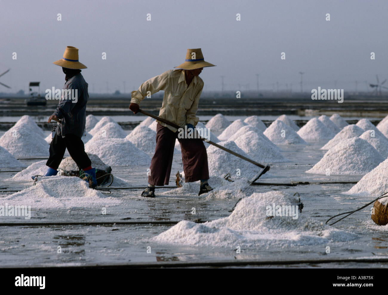 THAILAND Southeast Asia Industry Workers on salt farm raking dried salt  into mounds by hand on flat land near Bangkok Stock Photo - Alamy