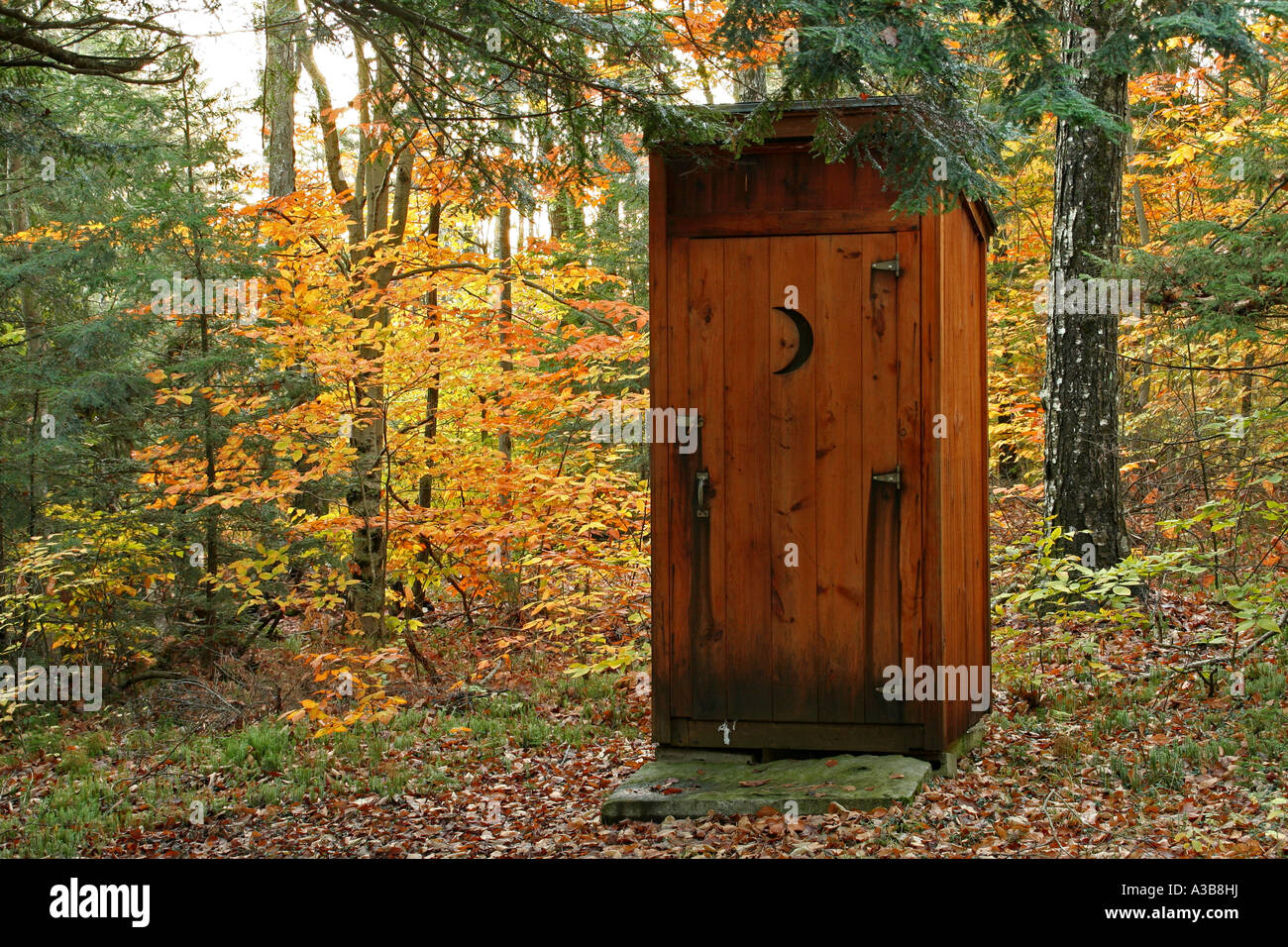USA New Hampshire Sullivan Wooden outhouse in an autumn forest setting. Stock Photo