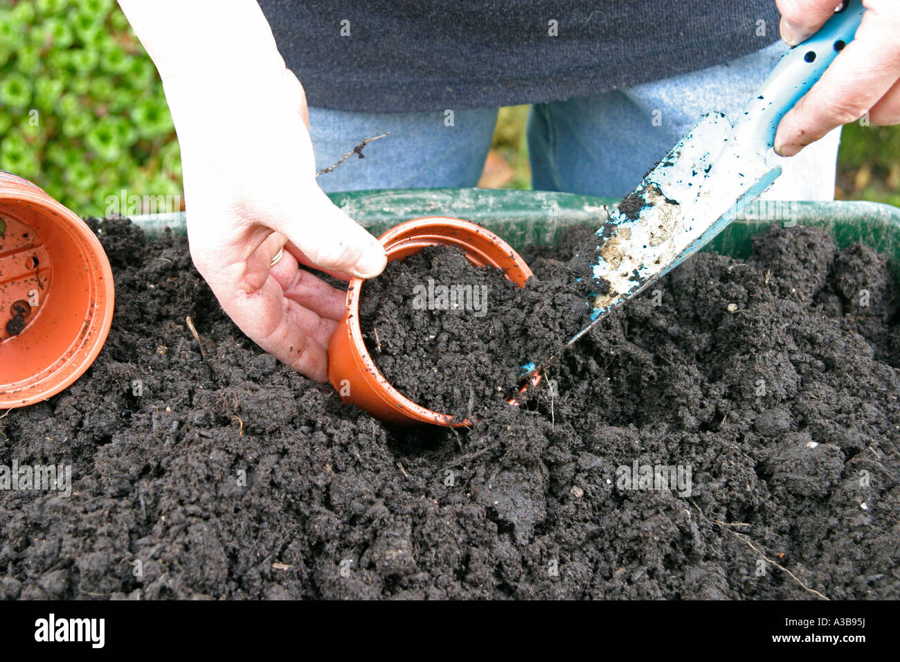 Potting on plug plants Step 1 fill the pots with compost and soil Stock