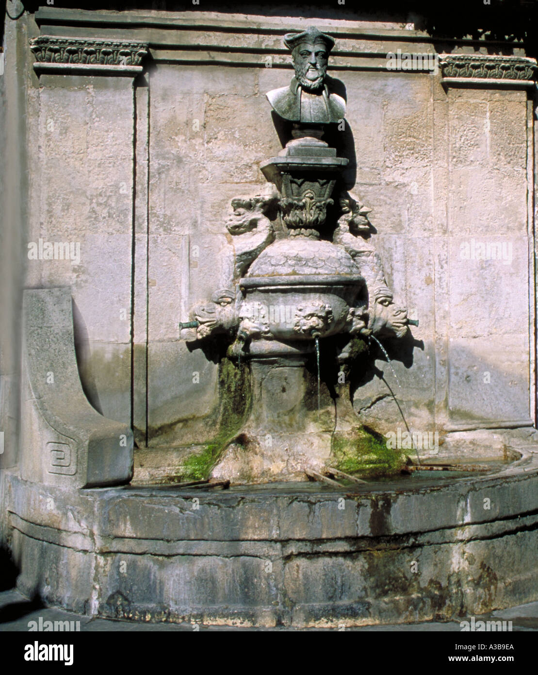 Nostradamus Fountain St Remy de Provence France Stock Photo Alamy