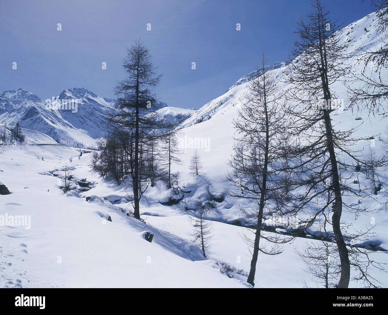 Sertig Valley near the Town of Davos Canton of Grisons Switzerland Stock Photo