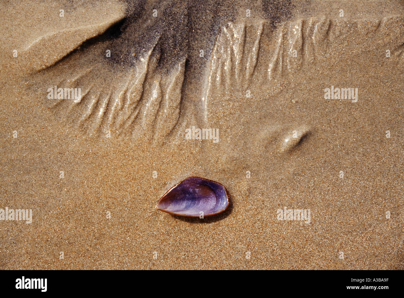 nature close up, nature concept, nature conceptual, nature background, nature abstract Stock Photo
