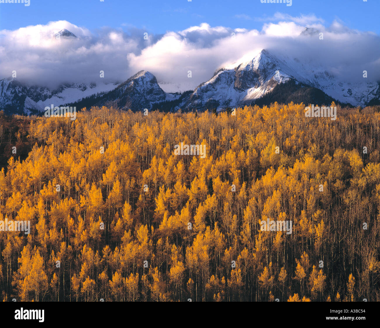 Aspens Peaks San Juan Mountains Colorado Stock Photo