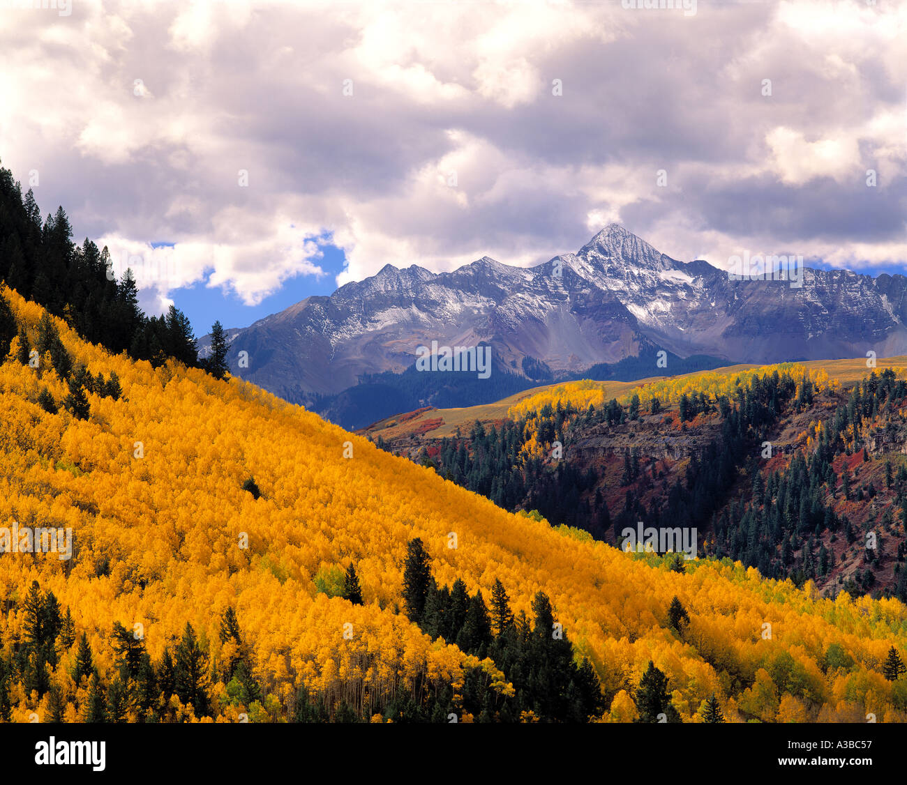 Aspen Mt Wilson San Juan Mountains Colorado Stock Photo Alamy
