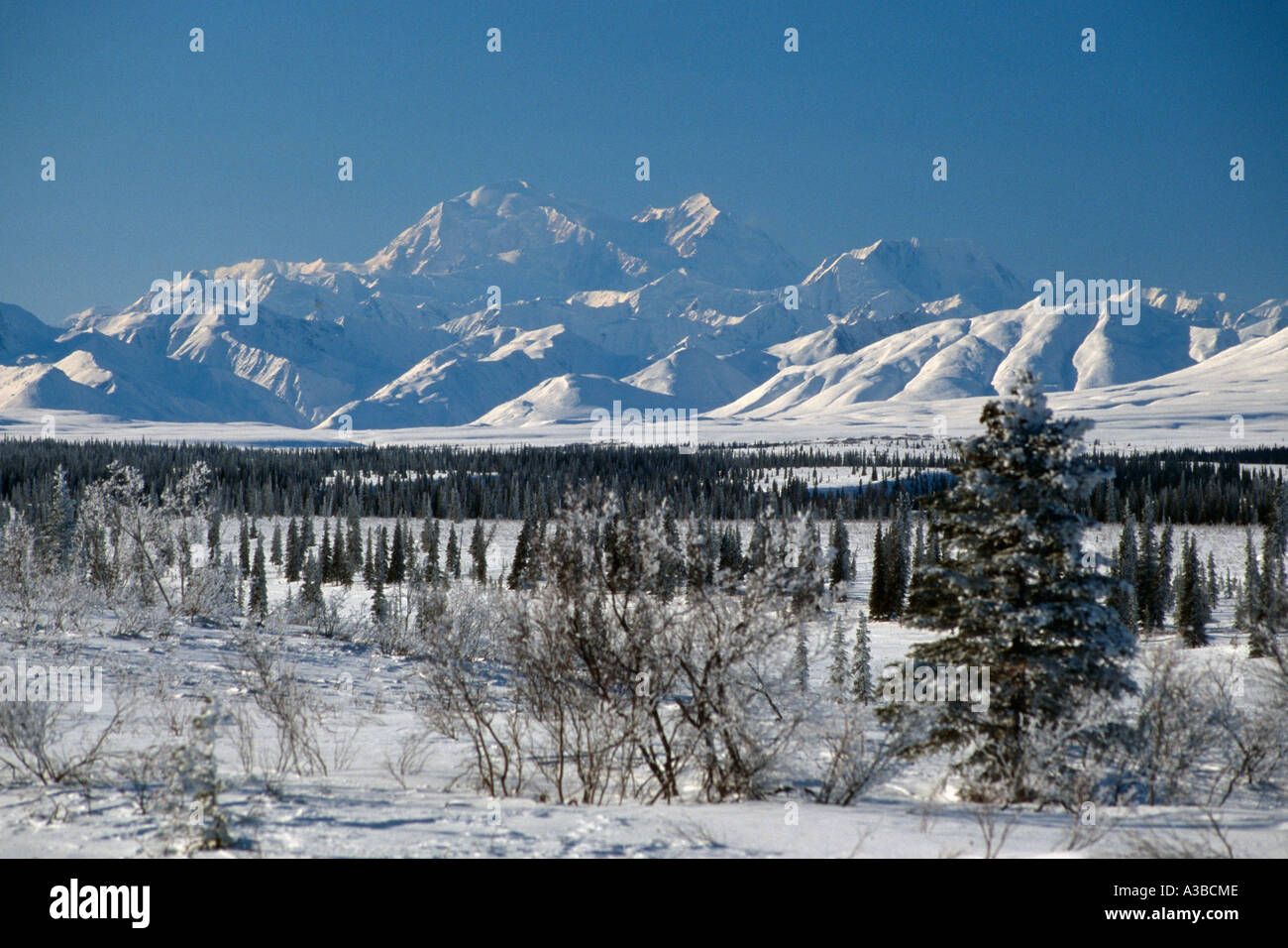 Mt McKinley AK Range near Cantwell AK IN Winter Stock Photo Alamy