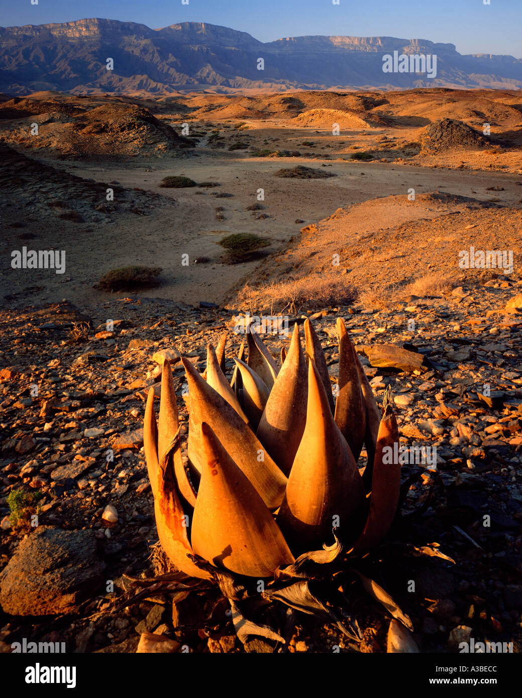 Jebel Samham Mountains Sultanate of Oman Stock Photo - Alamy