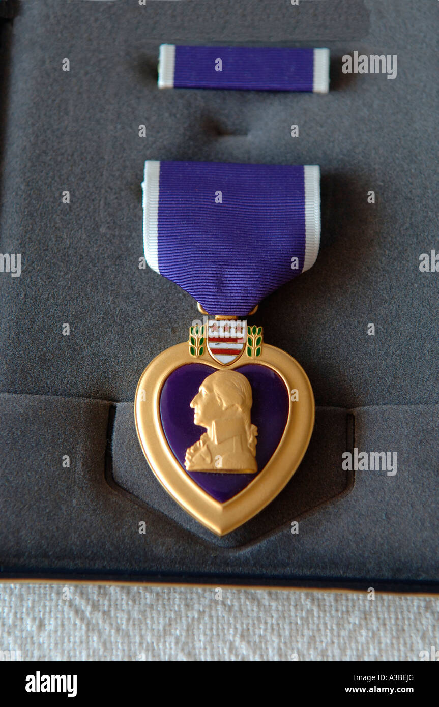 United States Purple Heart Medal awarded to those injured or killed in combat Stock Photo