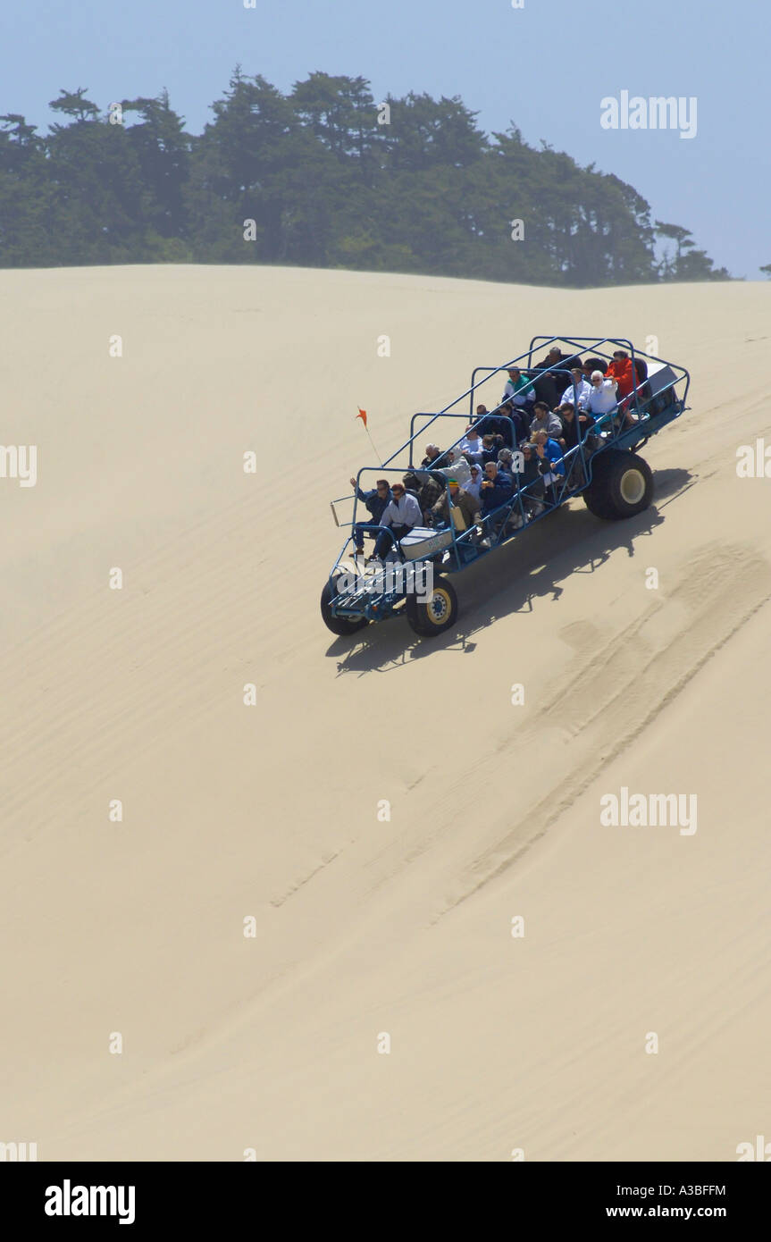 Dune buggy ride with Sandland Adventures on the sand dunes at Oregon