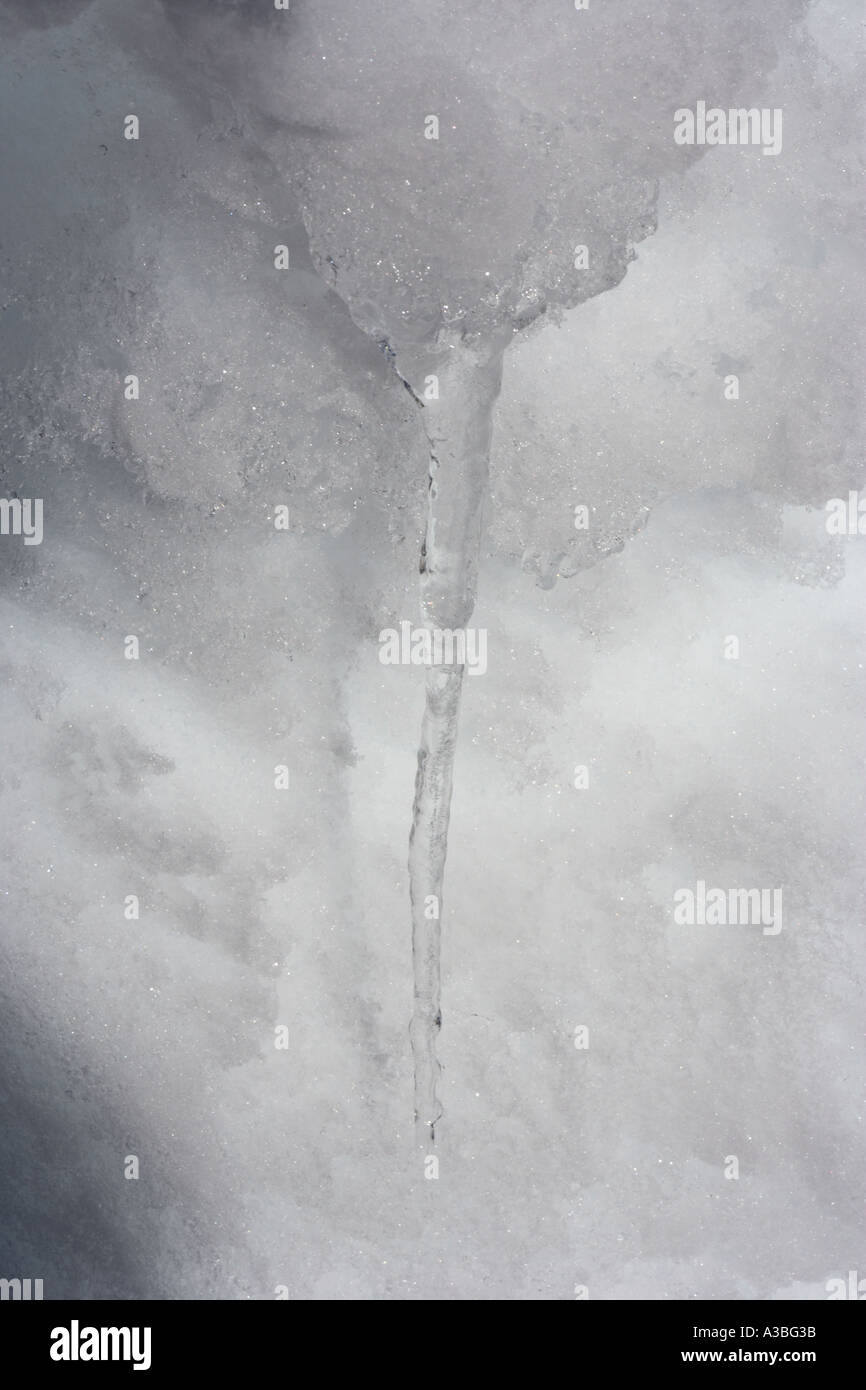 Icicles and snow, freezing dripping water Stock Photo Alamy