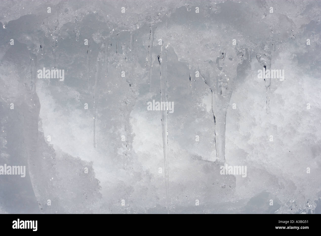 Icicles and snow freezing dripping water Stock Photo Alamy