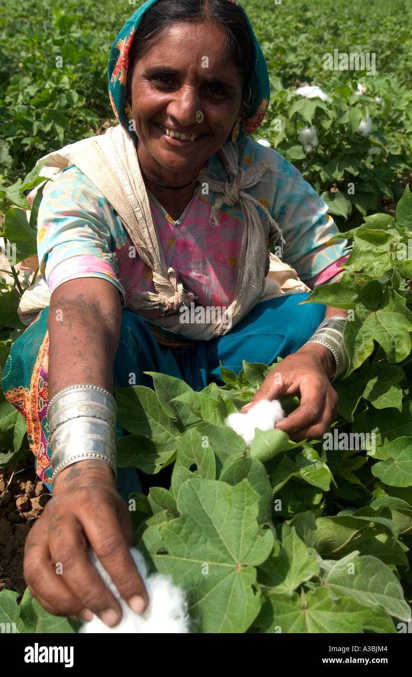 Fairtrade farmer india cotton hi-res stock photography and images - Alamy