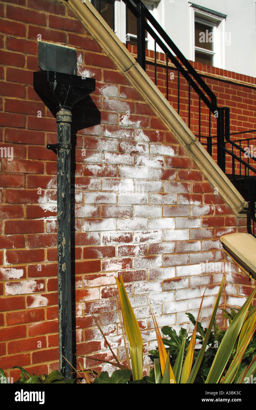 Efflorescence on brick wall hi-res stock photography and images - Alamy