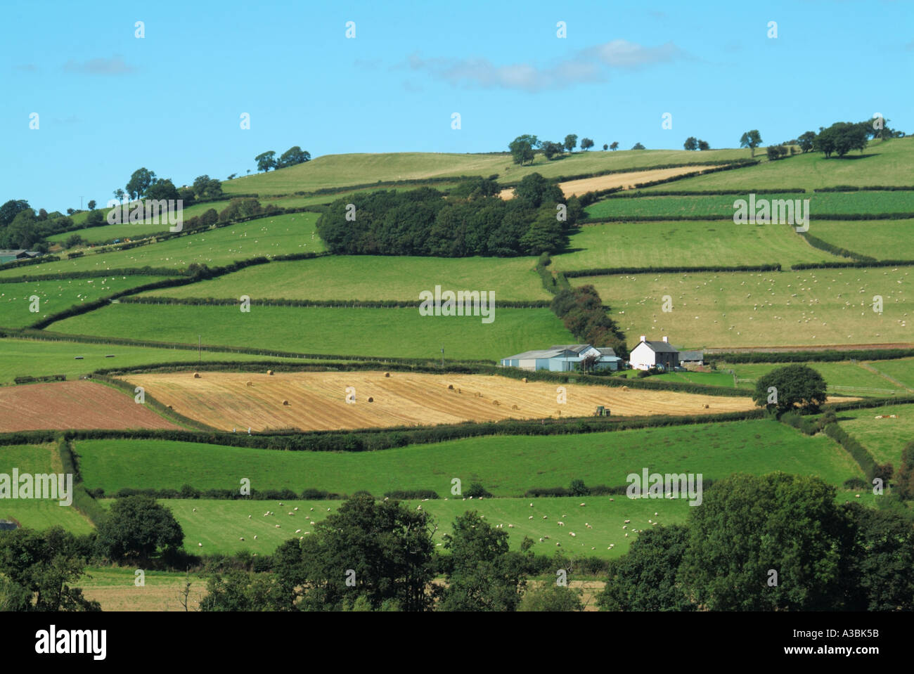 Brecon Beacons National Park hilly farming landscape green fields with