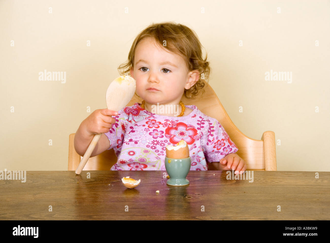 baby high chair egg
