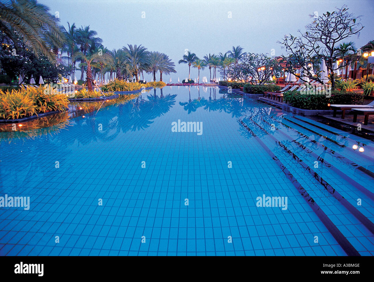 Taiwan,Dusit Polo,resort,pool,pool,garden,Thailand Stock Photo