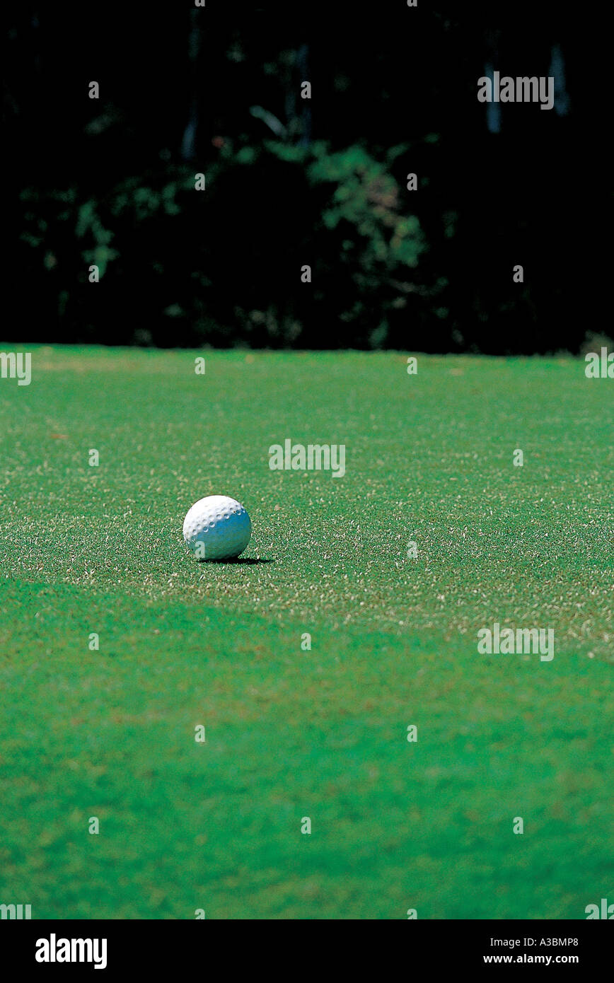 golf field,golf club,field,lawn,golf ball,Surfers Stock Photo