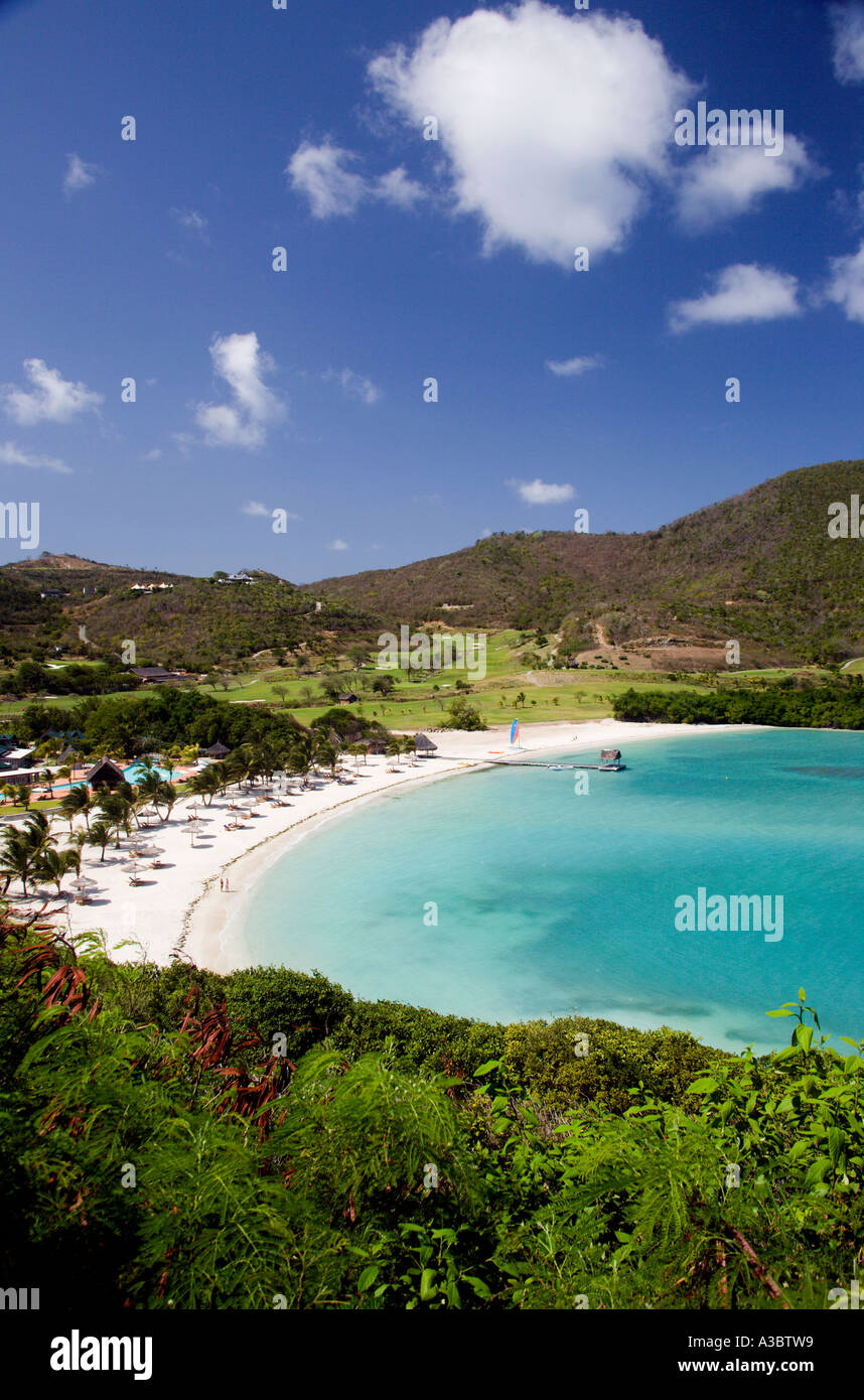 west-indies-caribbean-st-vincent-the-grenadines-canouan-island-jambu